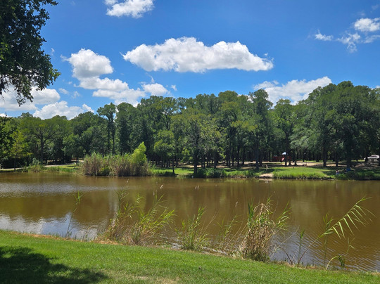 Palmetto State Park-Gonzales必去景点