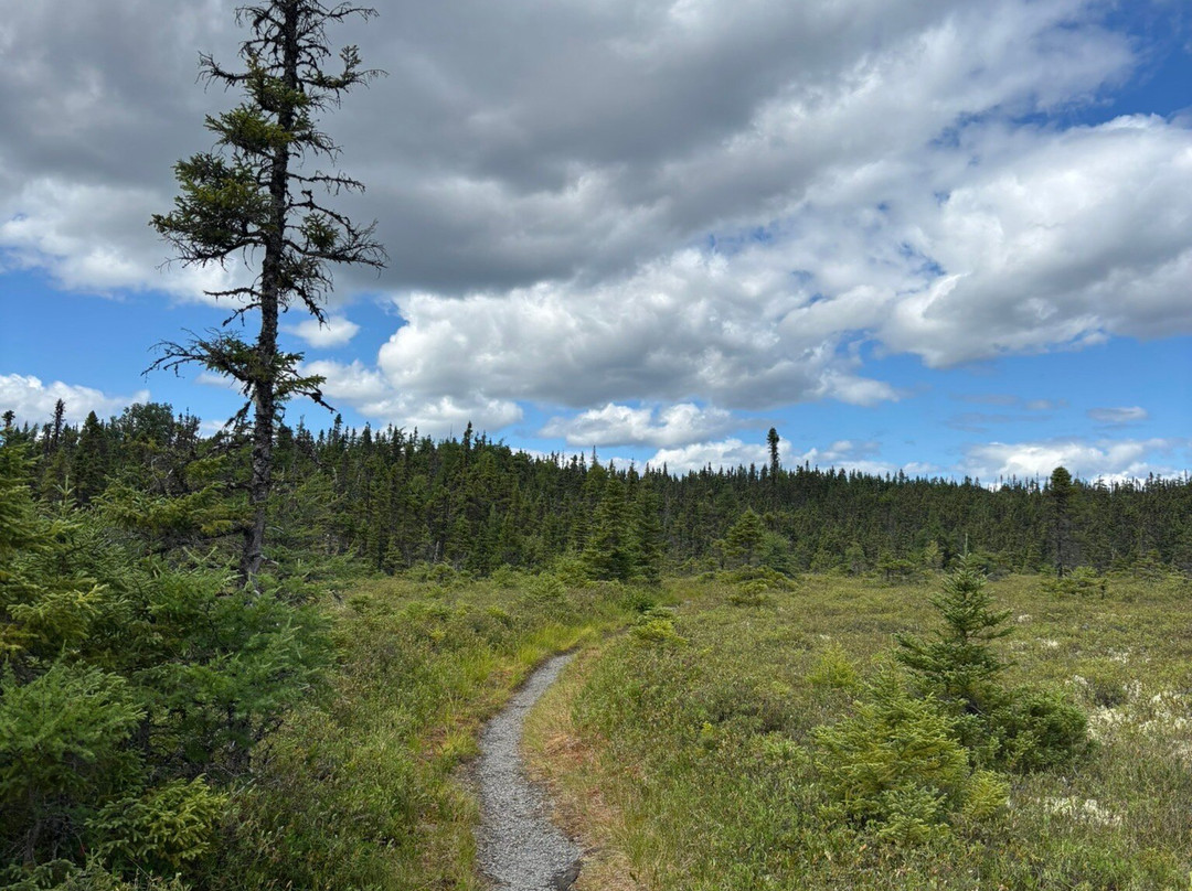 Terra Nova National Park-Glovertown必去景点