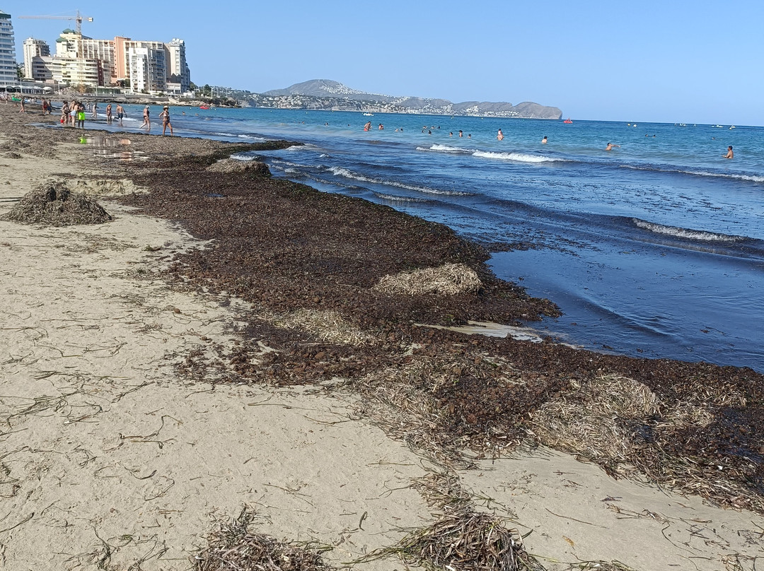 Playa de Levante o la Fossa-卡尔佩必去景点
