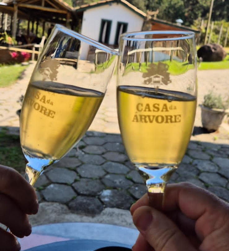 Vinícola Casa da Árvore-Sao Roque必去景点