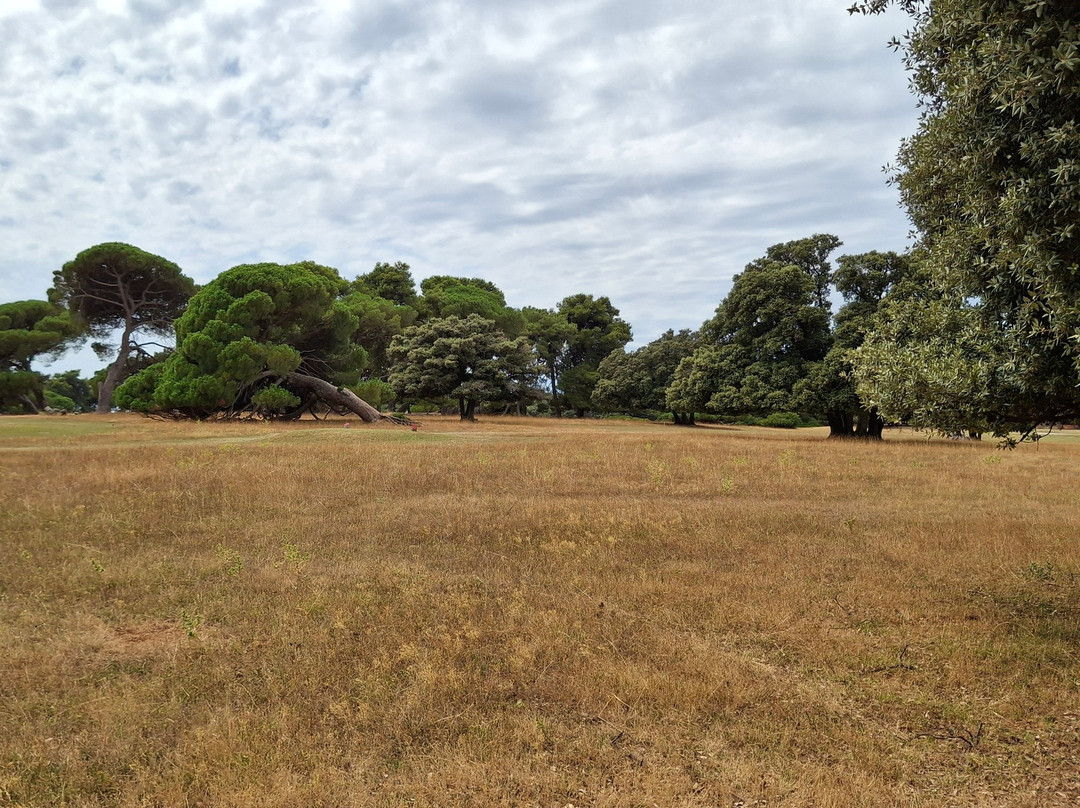 Museum-Brijuni National Park必去景点