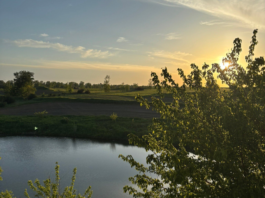 Cobblestone Inn & Suites - Newton主图