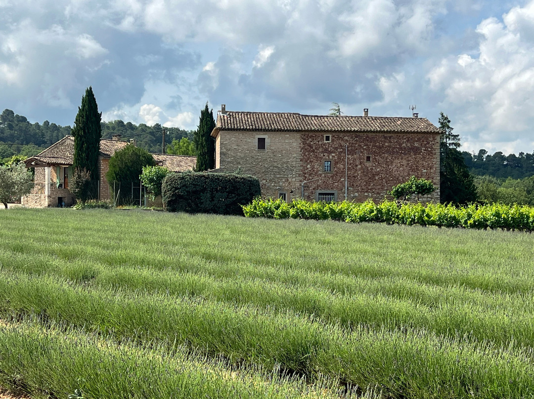 Provence Cycling Holidays主图