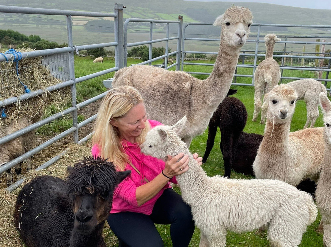 Hidden Hills Waterville-Waterville必去景点