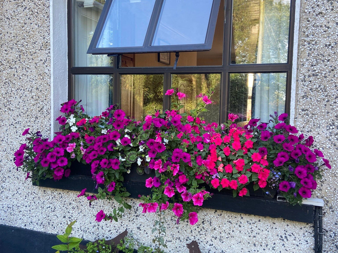 The Haven Lodge主图