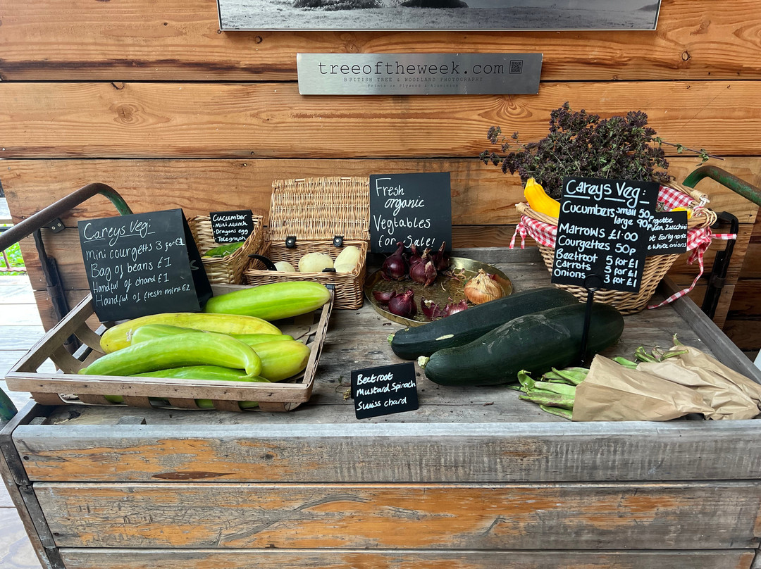 Careys Secret Garden-韦勒姆必去景点