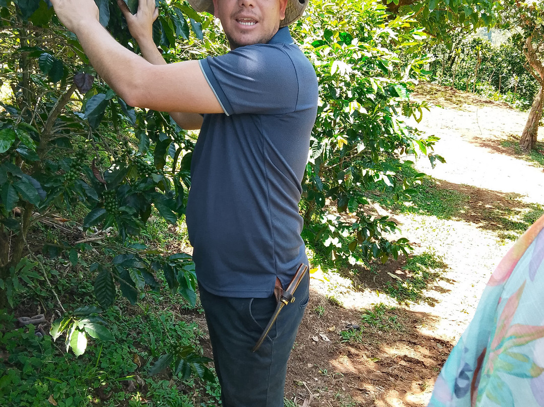 TIO JOSE COFFEE TOUR-葛雷西亚必去景点
