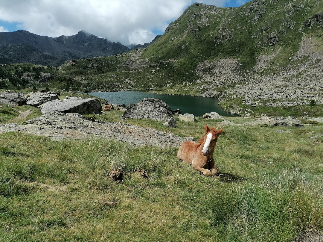 Estanys de Tristaina-Ordino必去景点