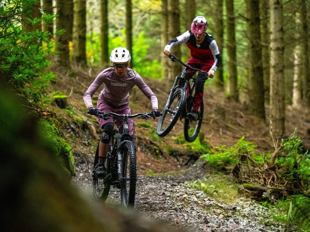 Haldon Forest Park - Forestry England-得文郡必去景点