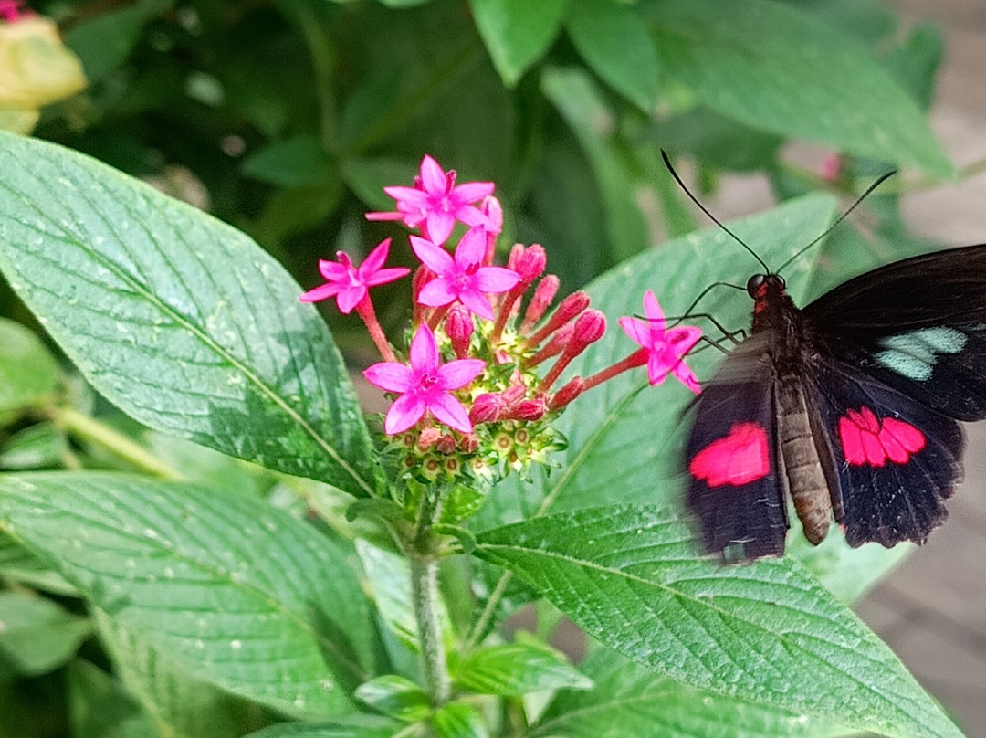 Portsmouth Natural History Museum-普兹茅斯必去景点