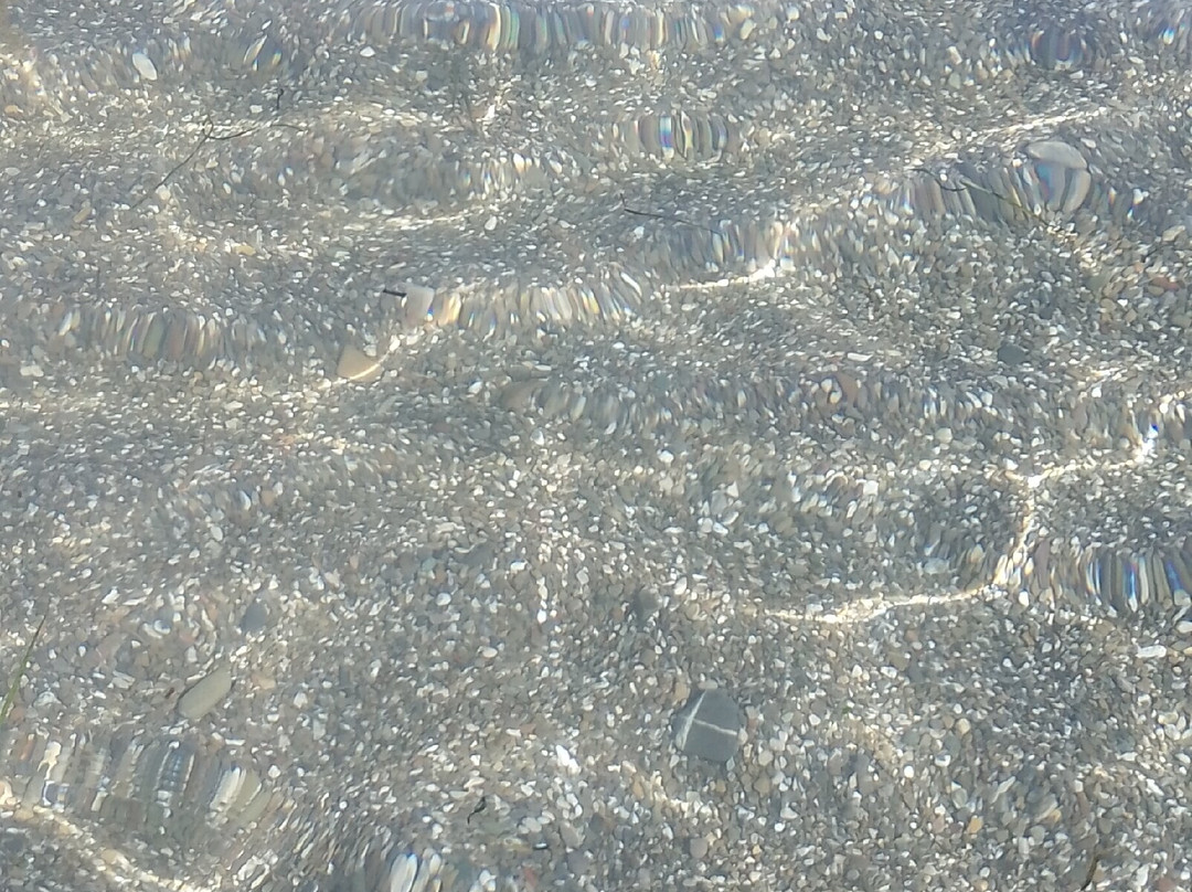 Hotel Torre Oliva主图