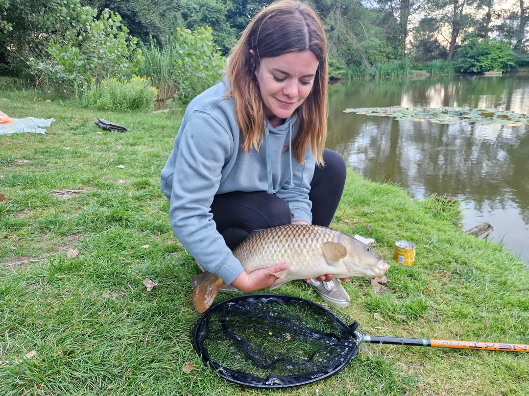 West Pitt Farm Fishery-蒂弗顿必去景点