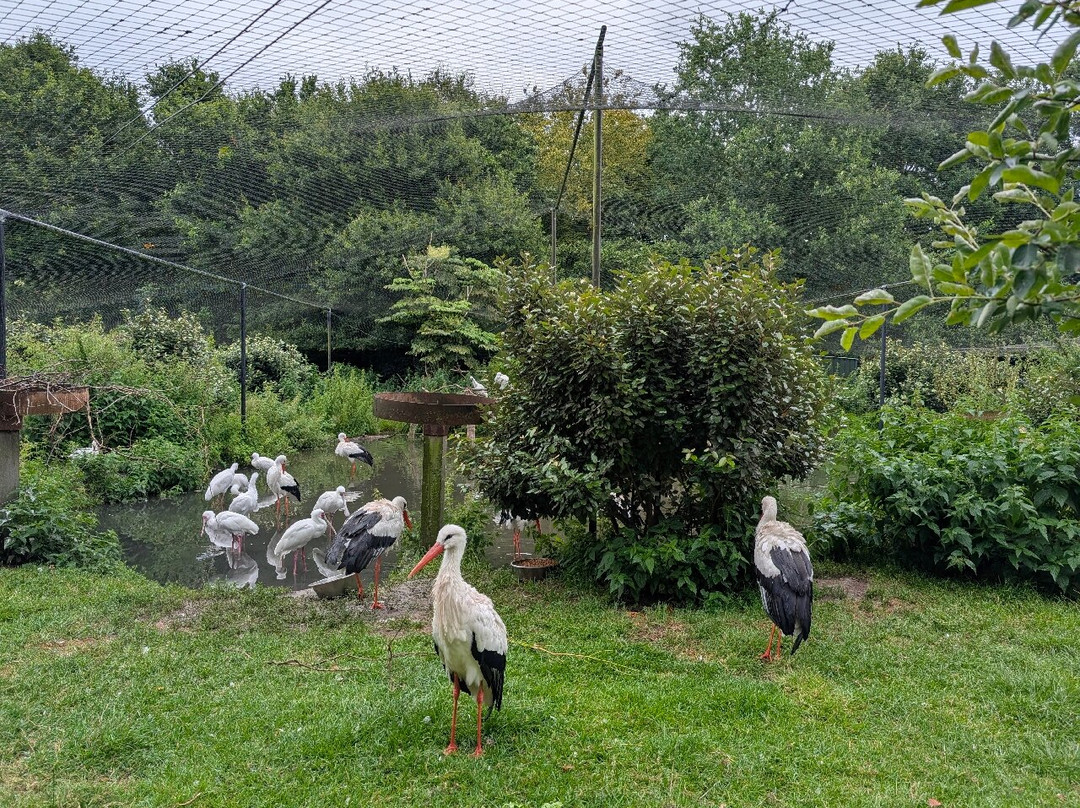 Landgoed Hoenderdaell-Anna Paulowna必去景点