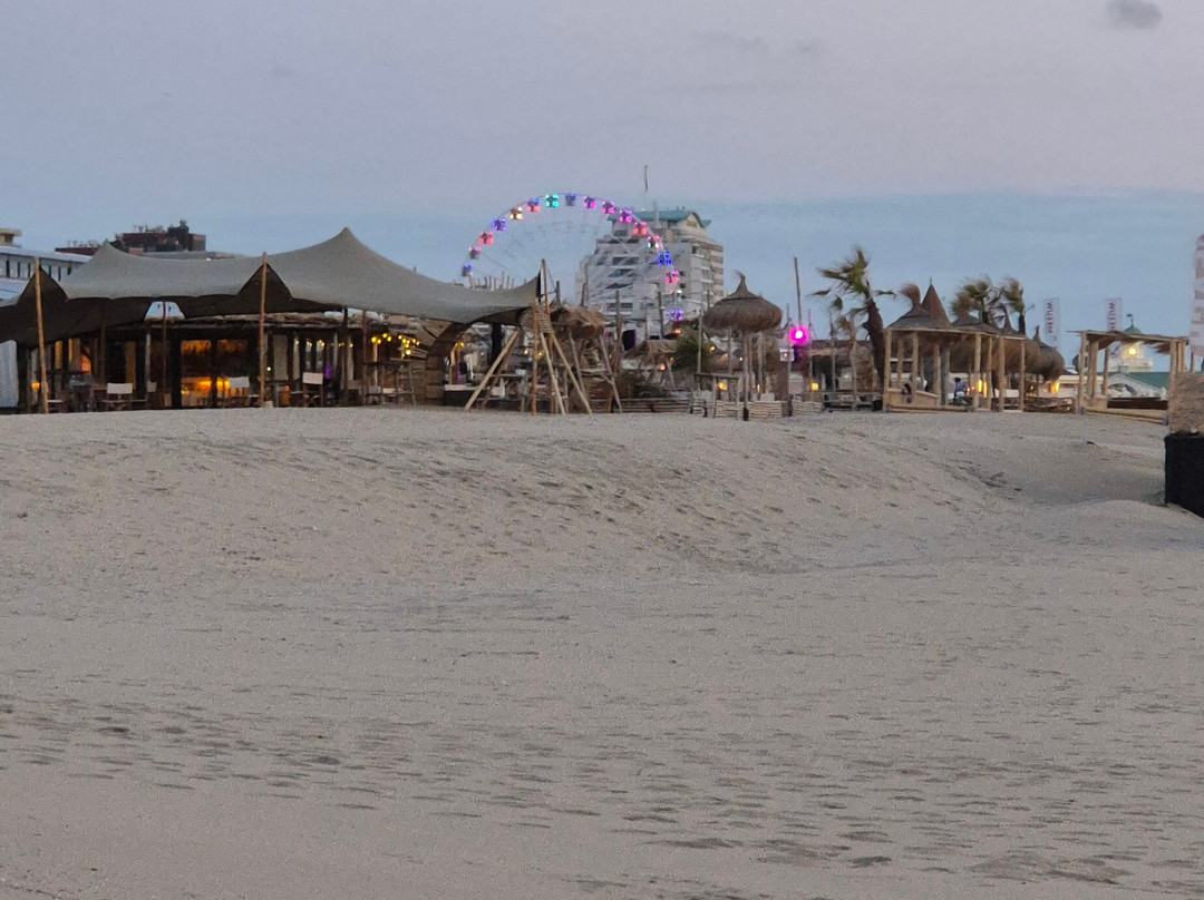 Strand Van Noordwijk-诺德韦克必去景点