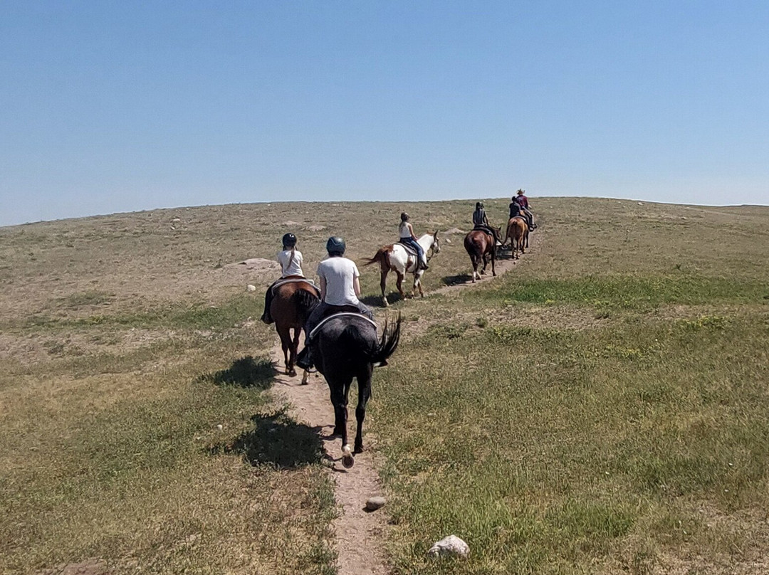 Terry Bison Ranch Resort-夏延必去景点