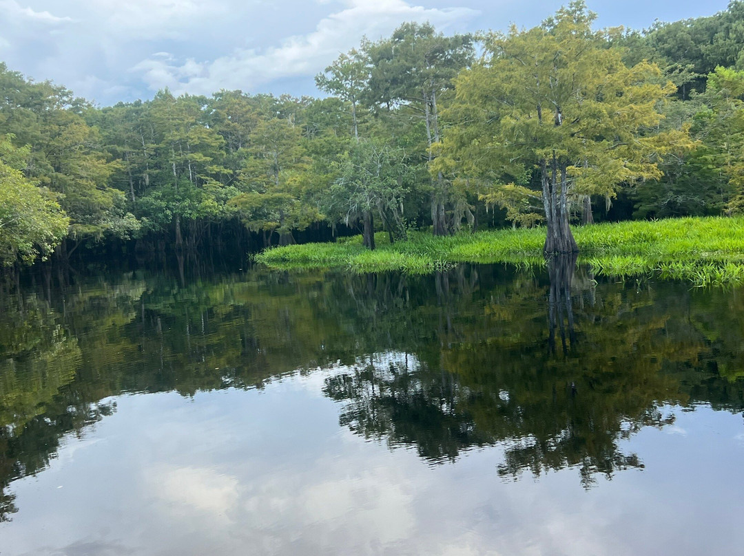 A St Johns River Airboat Tour-Christmas必去景点