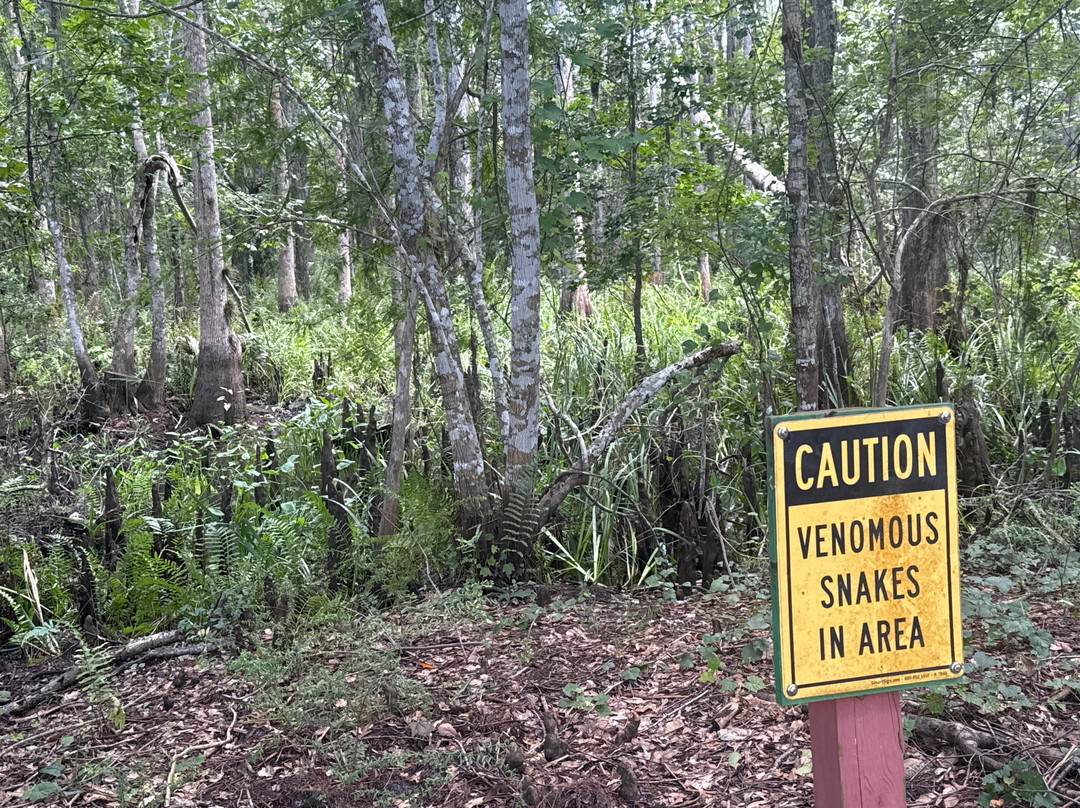 The Disney Wilderness Preserve-基西米必去景点
