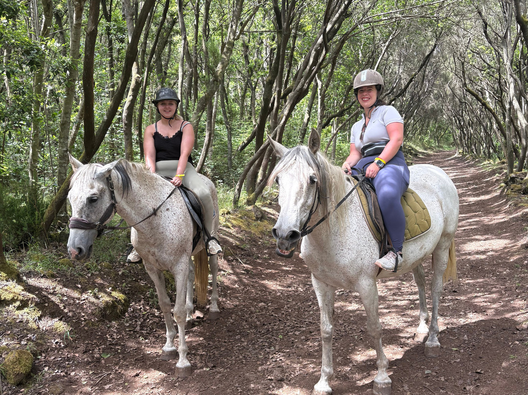 Centro Hípico Savvy Tenerife / Horse riding Tenerife / Reiten Teneriffa-德拉克鲁兹索尔港必去景点