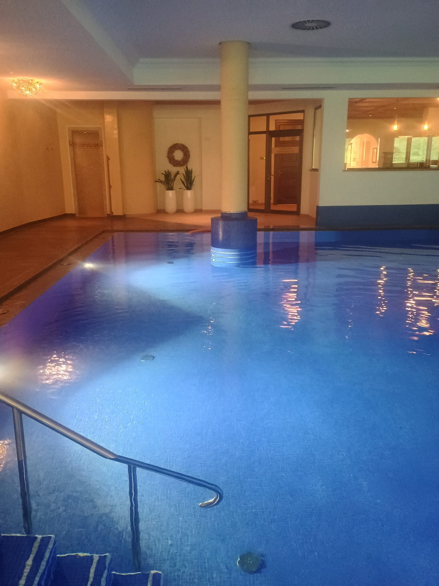 阿尔卑斯霍夫酒店-泳池