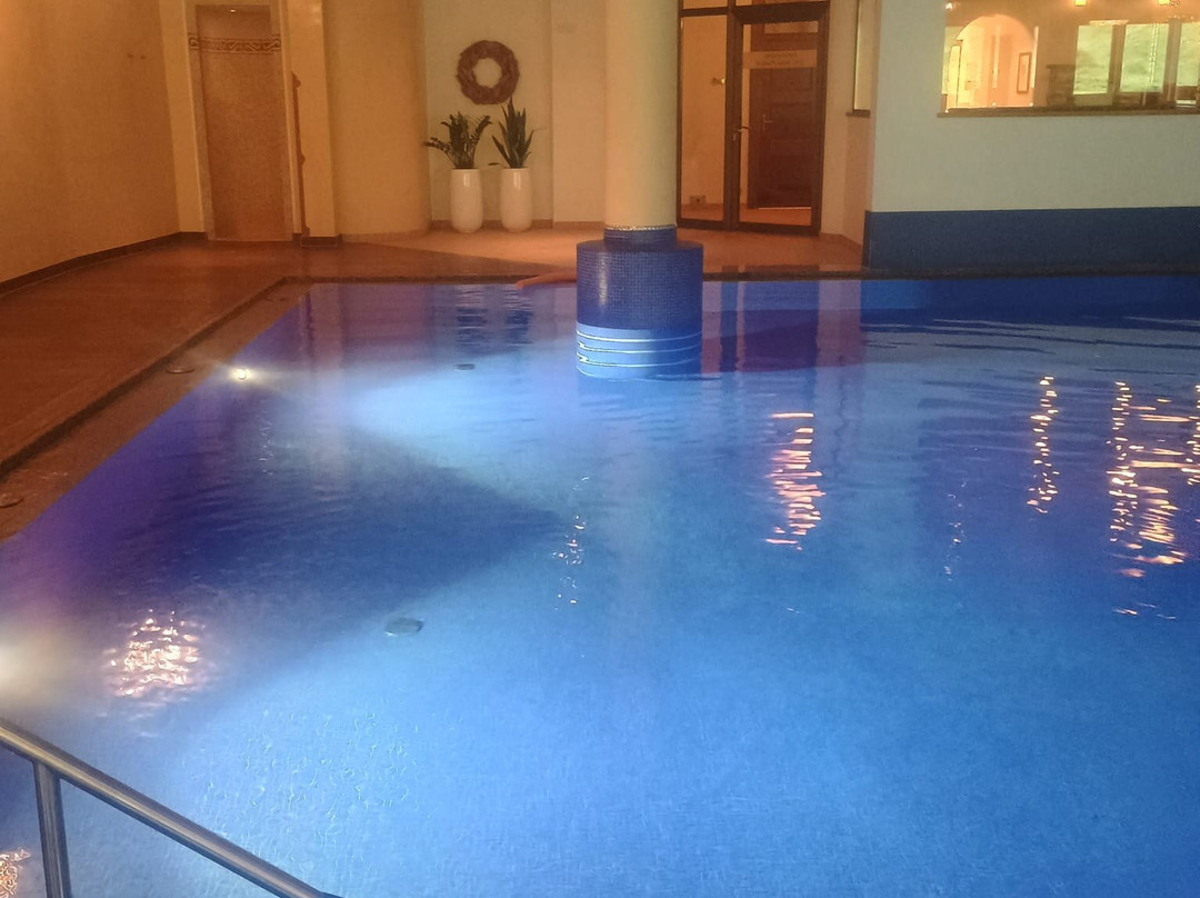 阿尔卑斯霍夫酒店主图