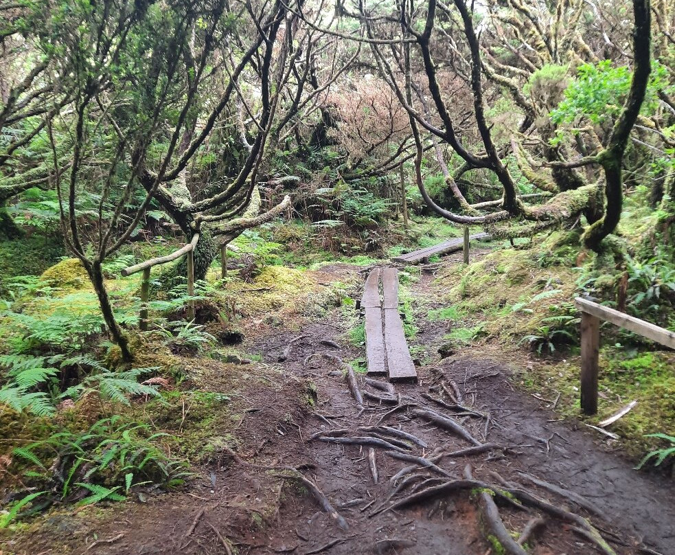 Trilha de Mistérios Negros-Terceira必去景点