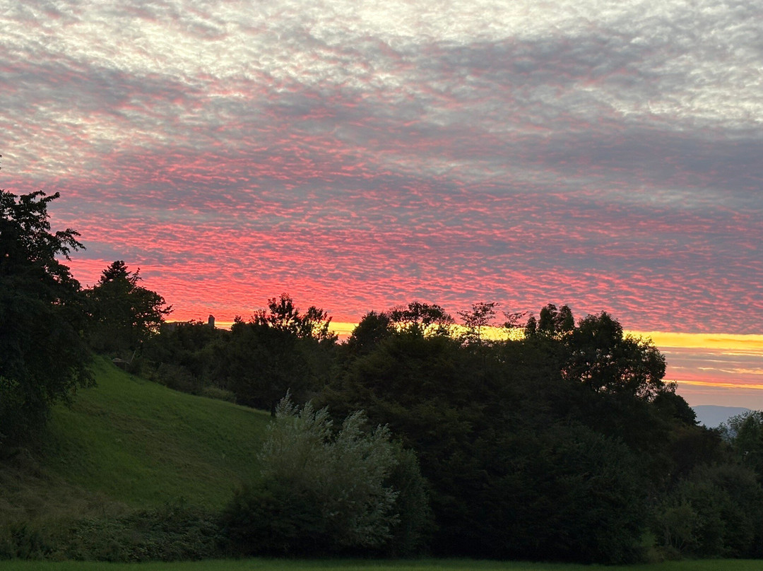 Gästehaus Kaltenbach主图
