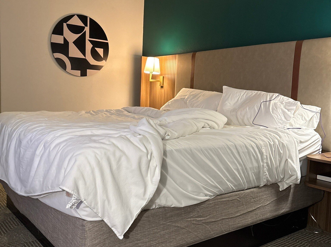 罗克山假日酒店主图