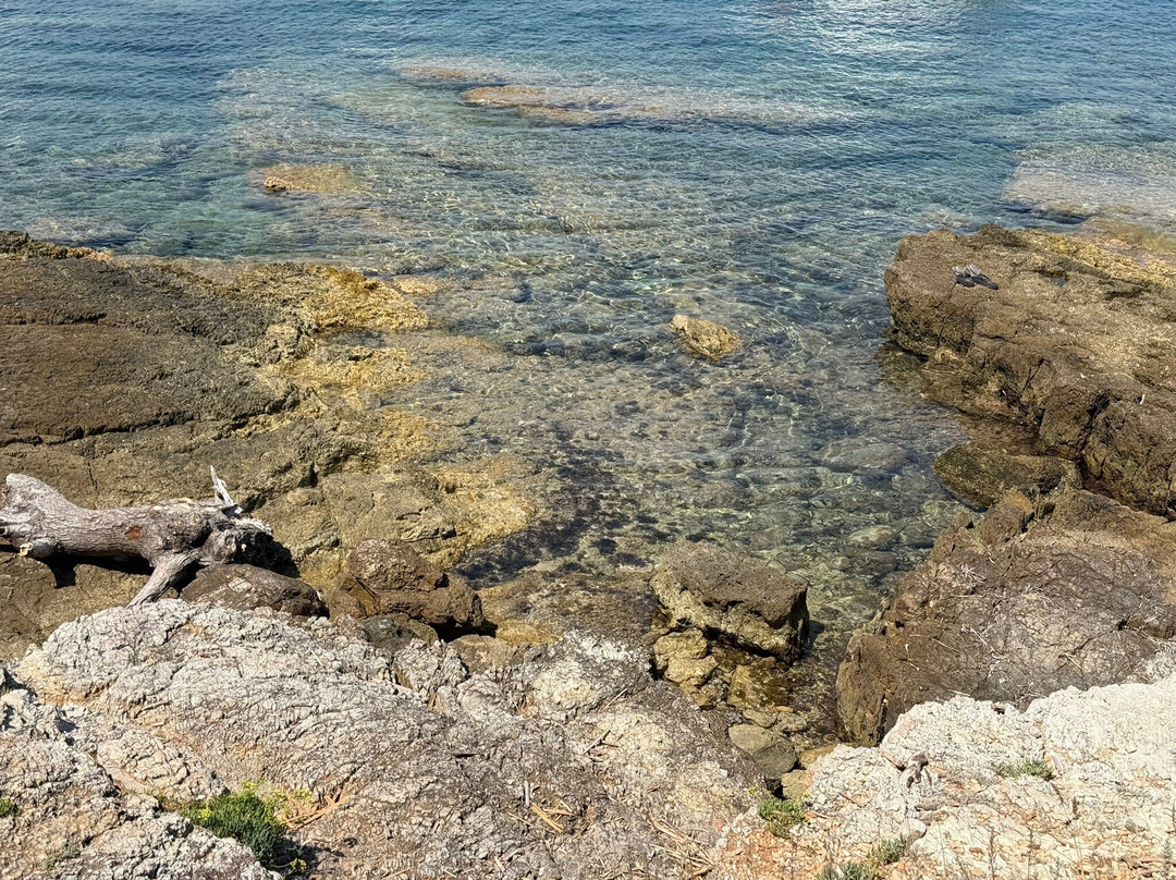 圣奥诺拉岛-法国里维埃拉-蔚蓝海岸必去景点