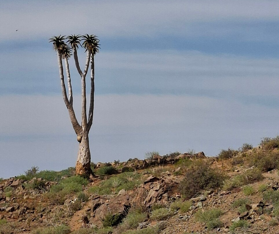 里希特斯韦特国家公园-北开普省必去景点