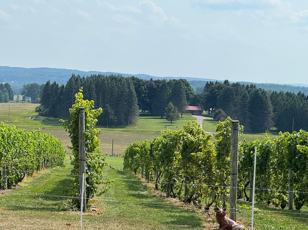 Torch Lake Cellars-Bellaire必去景点
