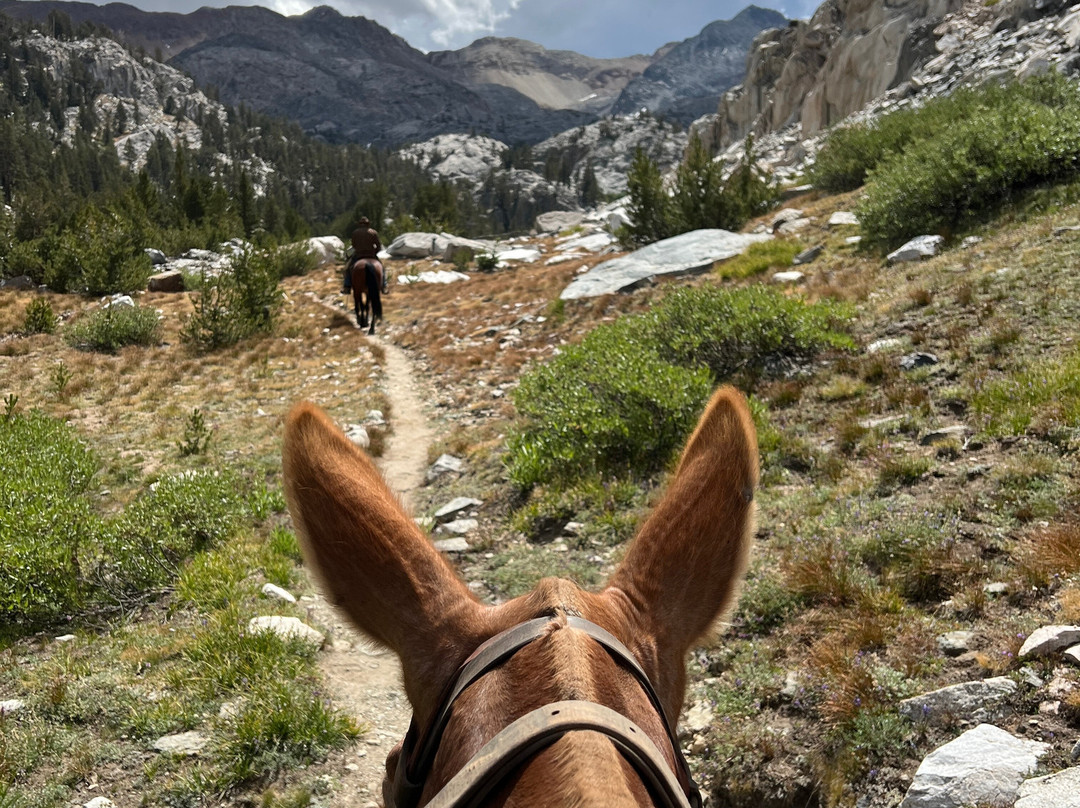 Rock Creek Pack Station-毕晓普必去景点