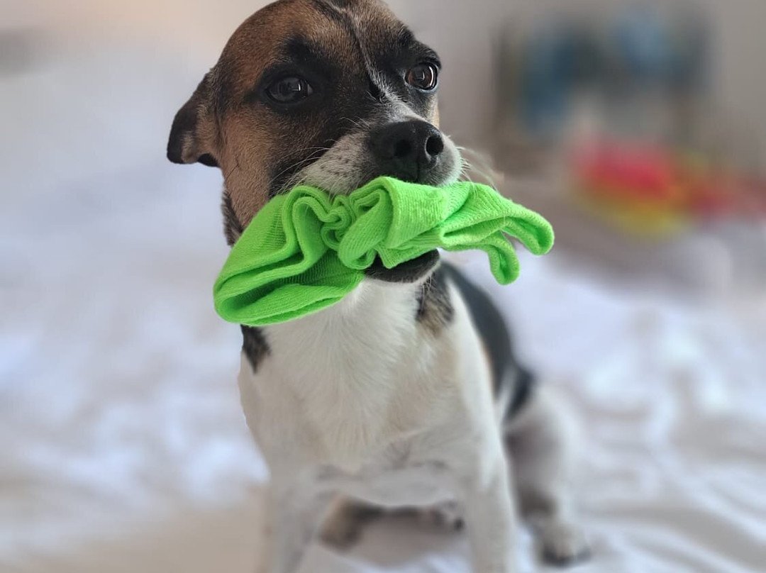 柯拉洛酒店主图