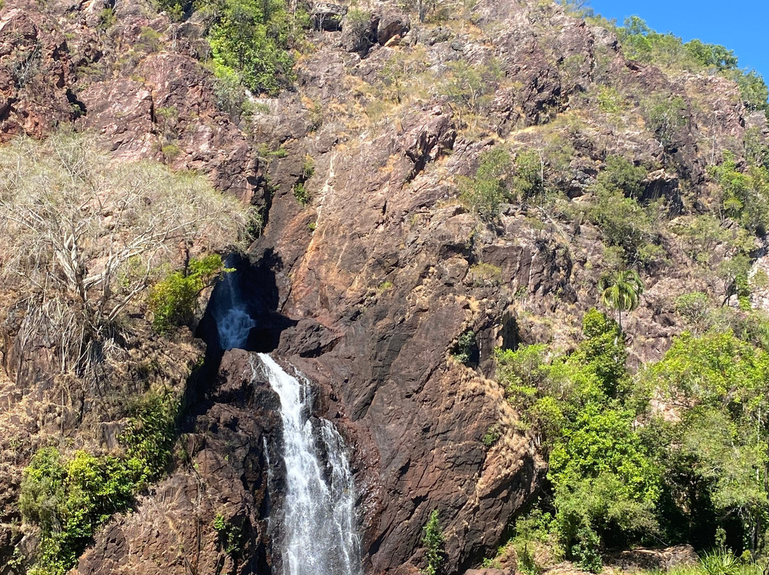 Litchfield Escapes-达尔文市必去景点