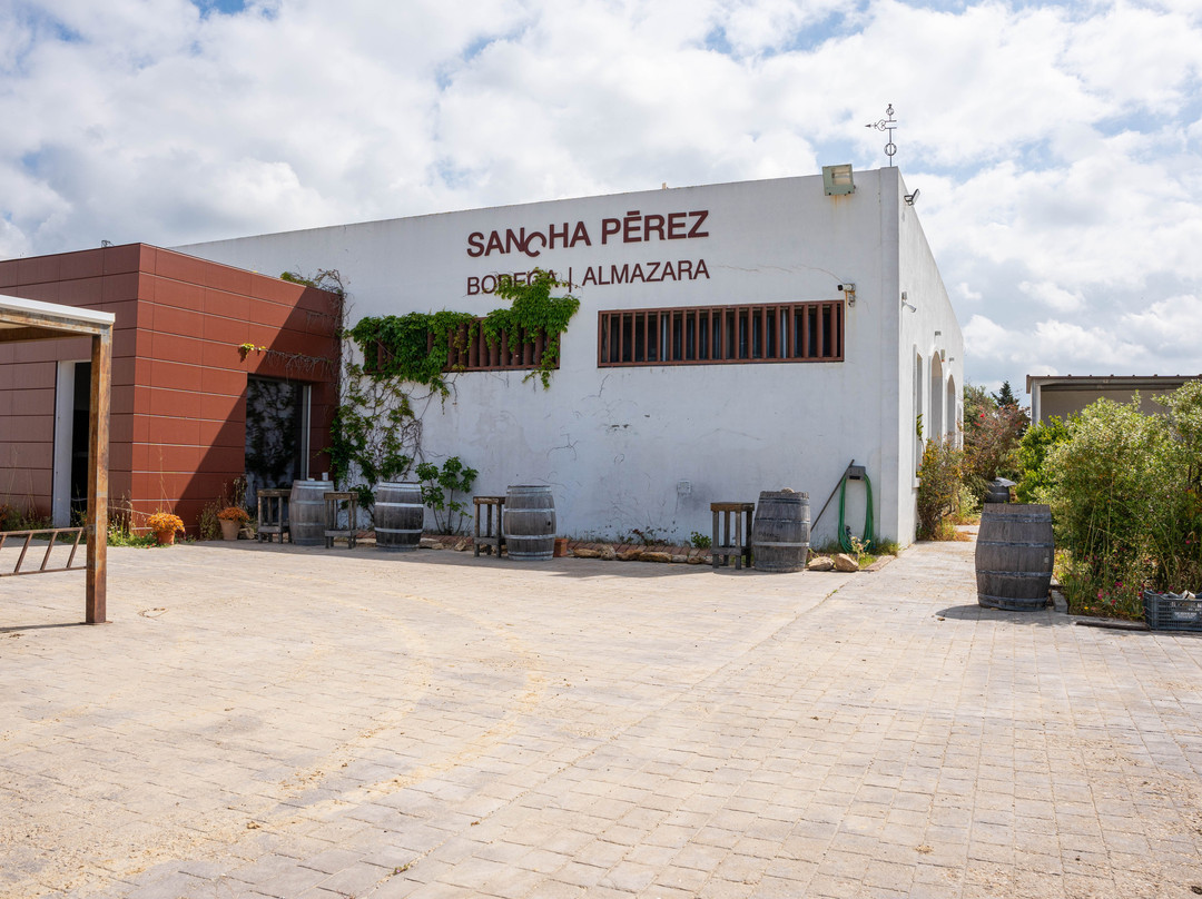 Sancha Pérez Bodega Almazara-Conil de la Frontera必去景点