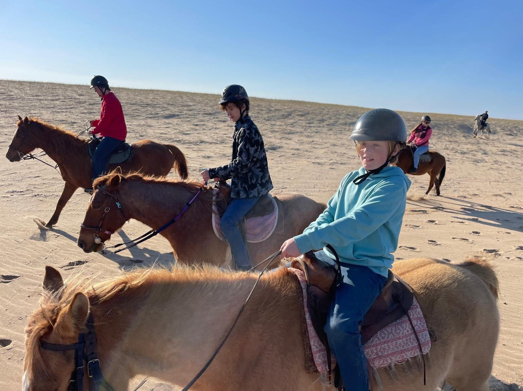 Eco Equus Cabalgatas-La Pedrera必去景点
