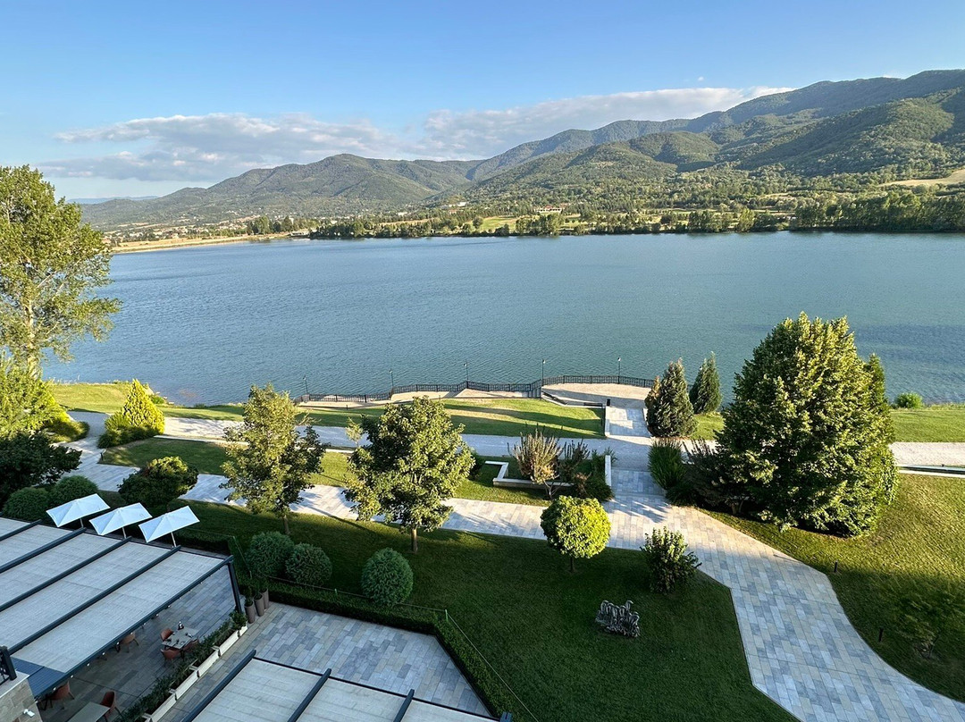 Hyatt Regency Pravets Resort主图