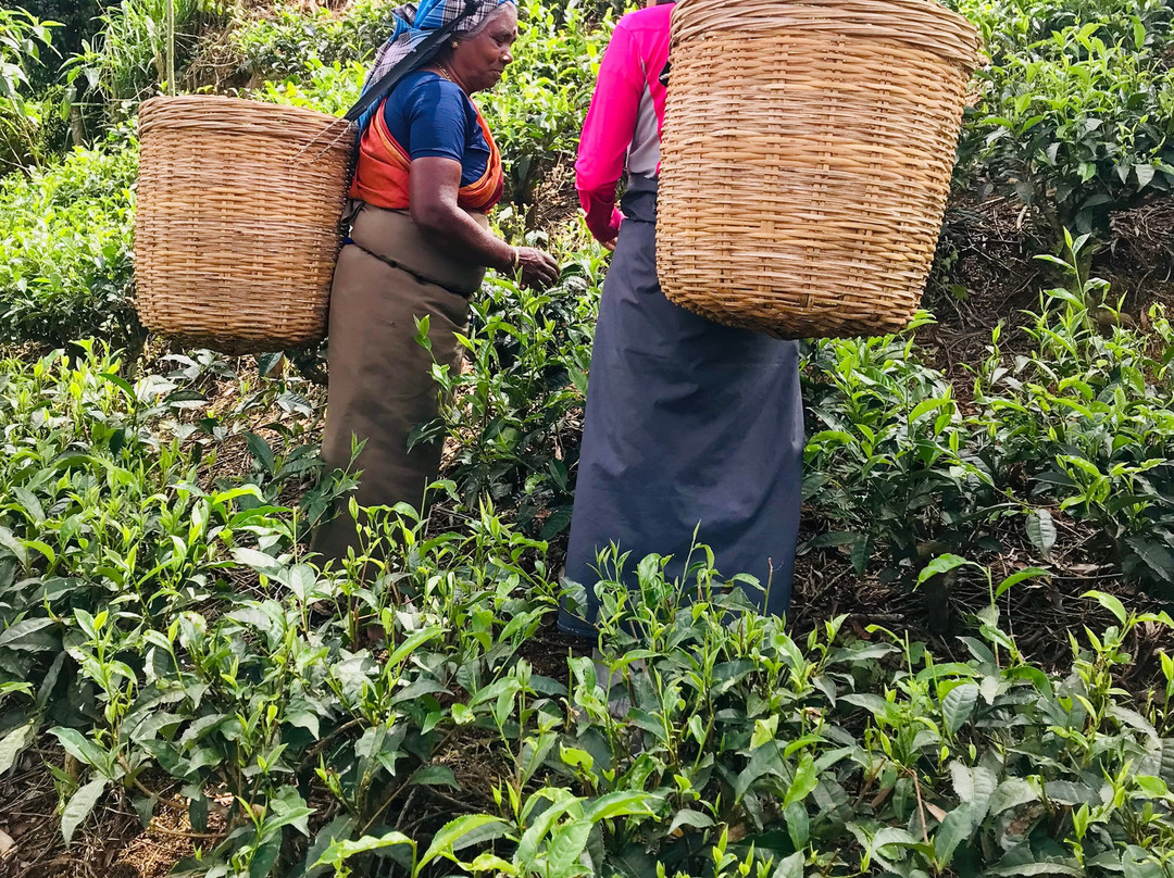 总督府酒店主图