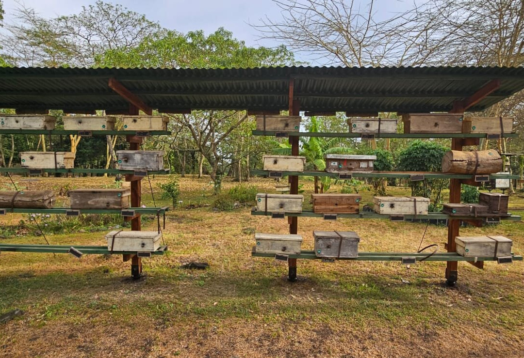 BEEtopia-阿鲁沙必去景点