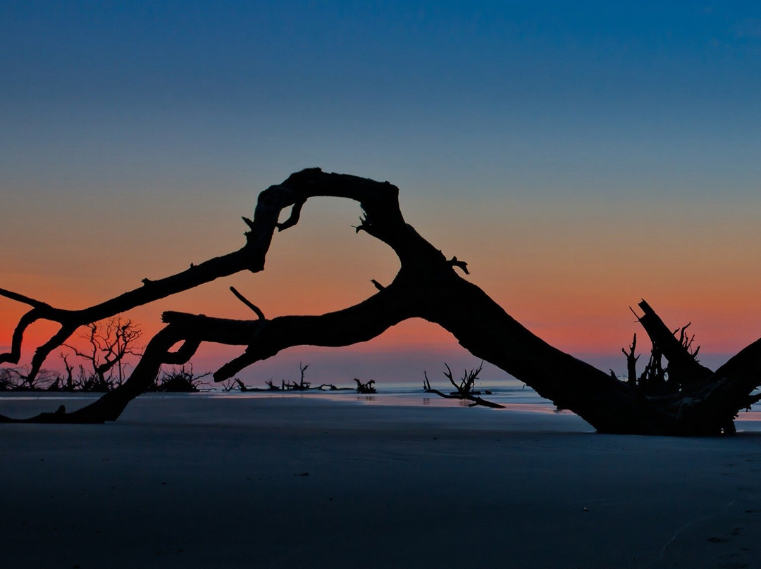 Bulls Island Ferry-Awendaw必去景点