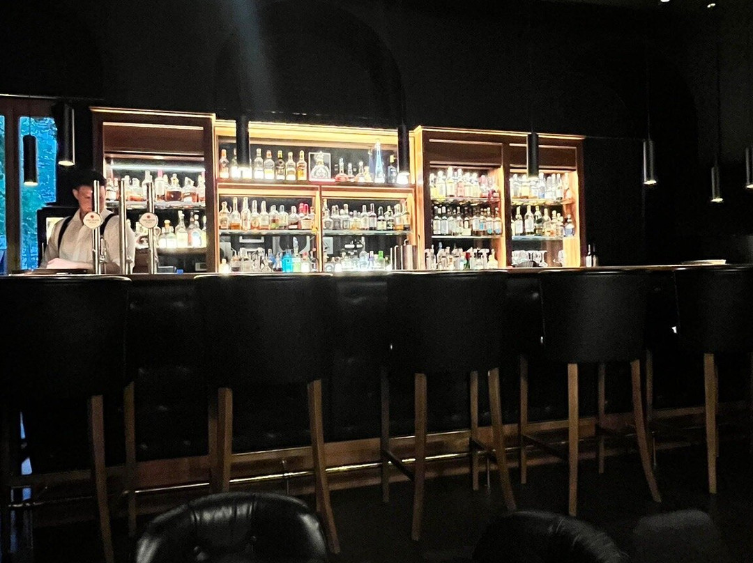 D-bar-维也纳必去景点