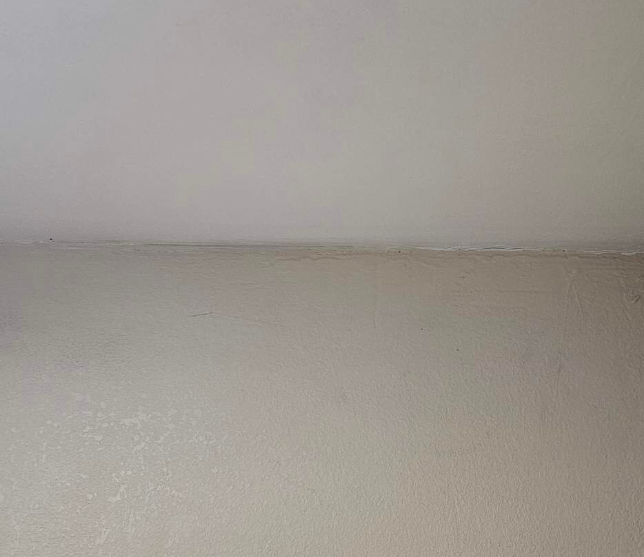 Baymont by Wyndham Cheraw主图