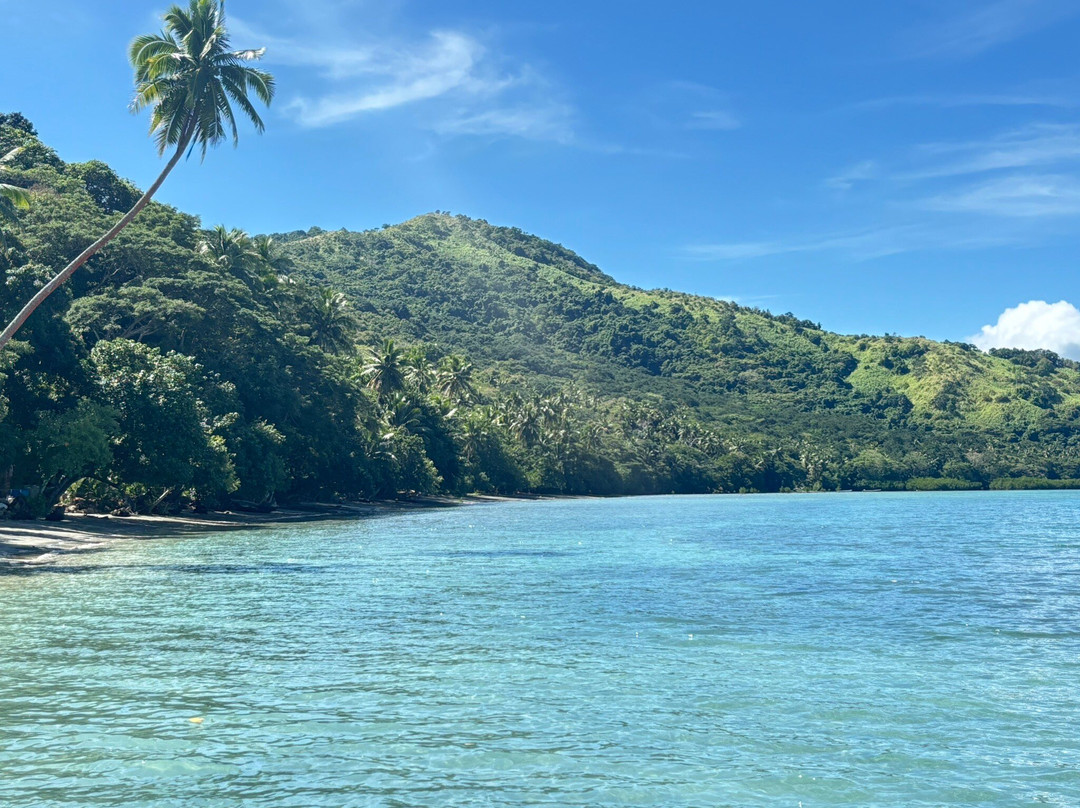 Salt Diver-塔韦乌尼岛必去景点