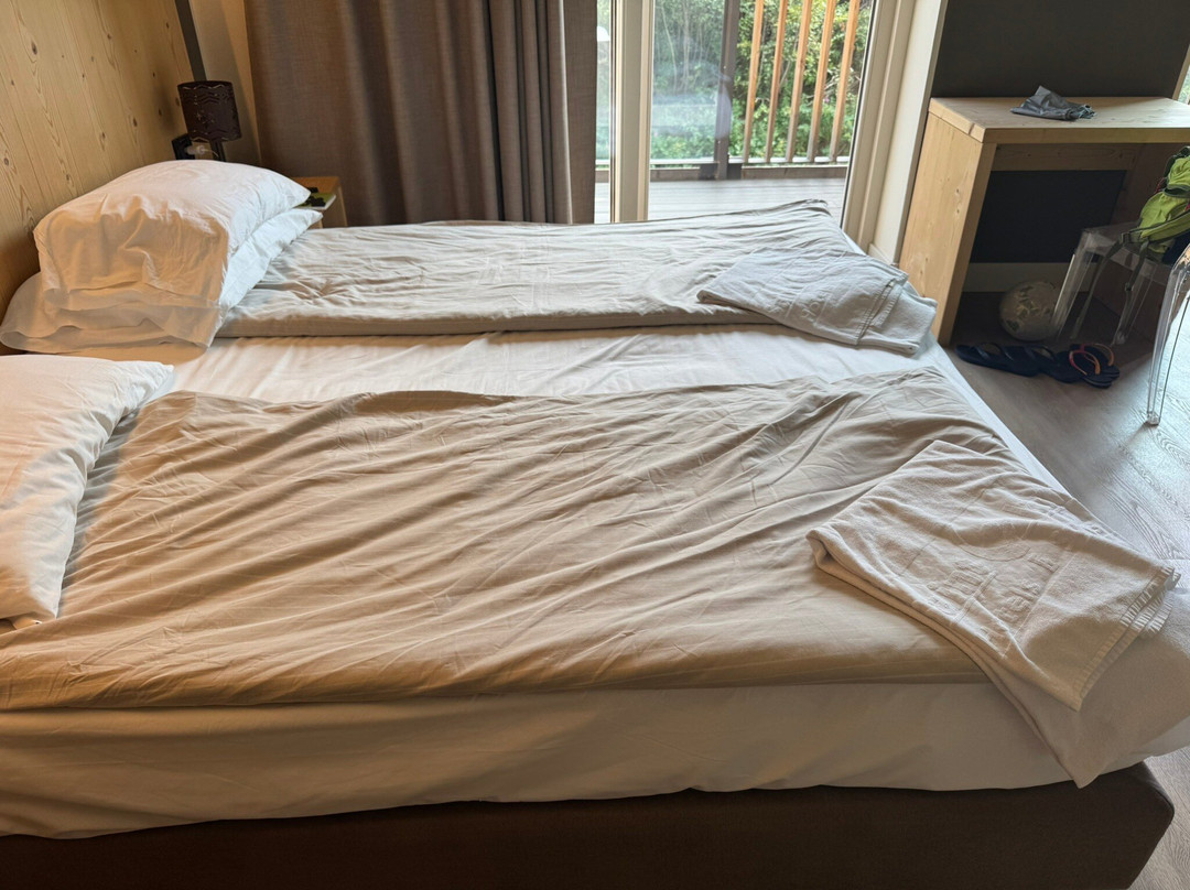 Hotel Piandineve主图