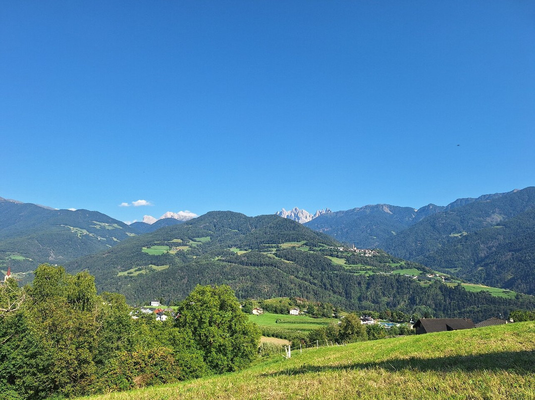 Feldthurnerhof Vinum-natur-relax主图