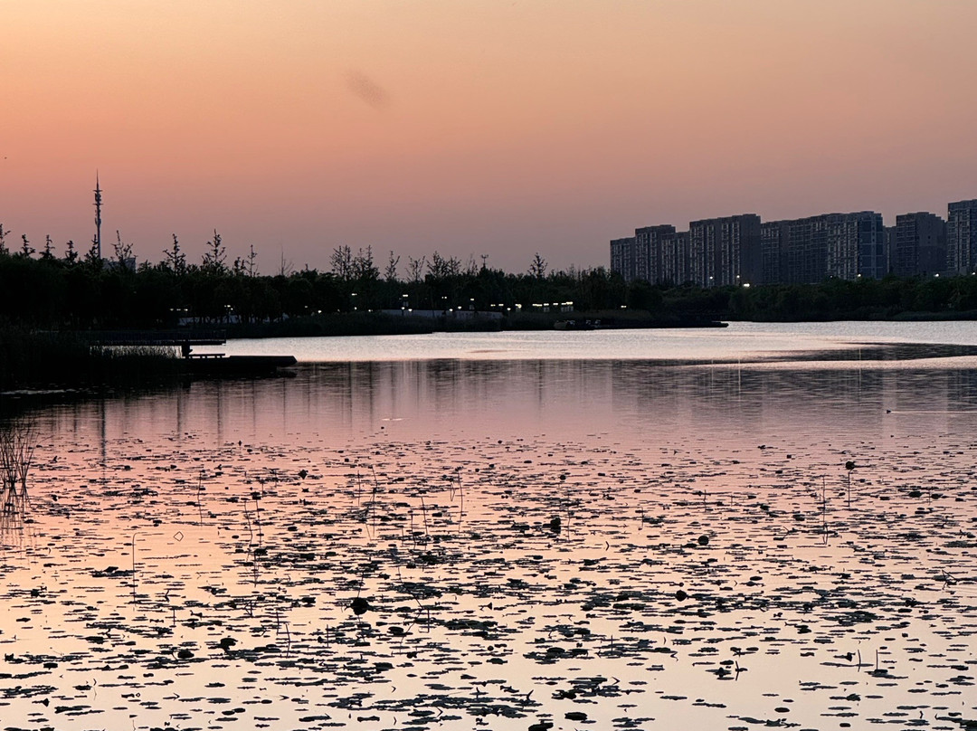 启东银洲希尔顿逸林酒店主图