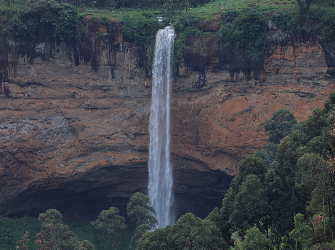 Taffie Safaris-坎帕拉必去景点
