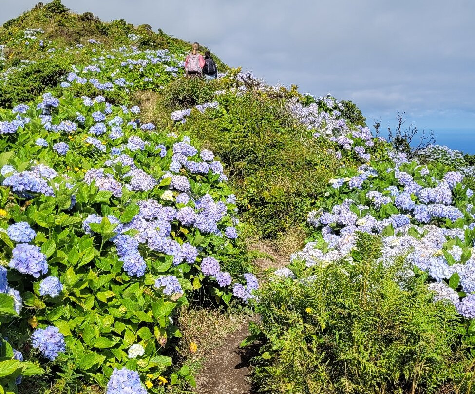 Caldeira-奥尔塔必去景点