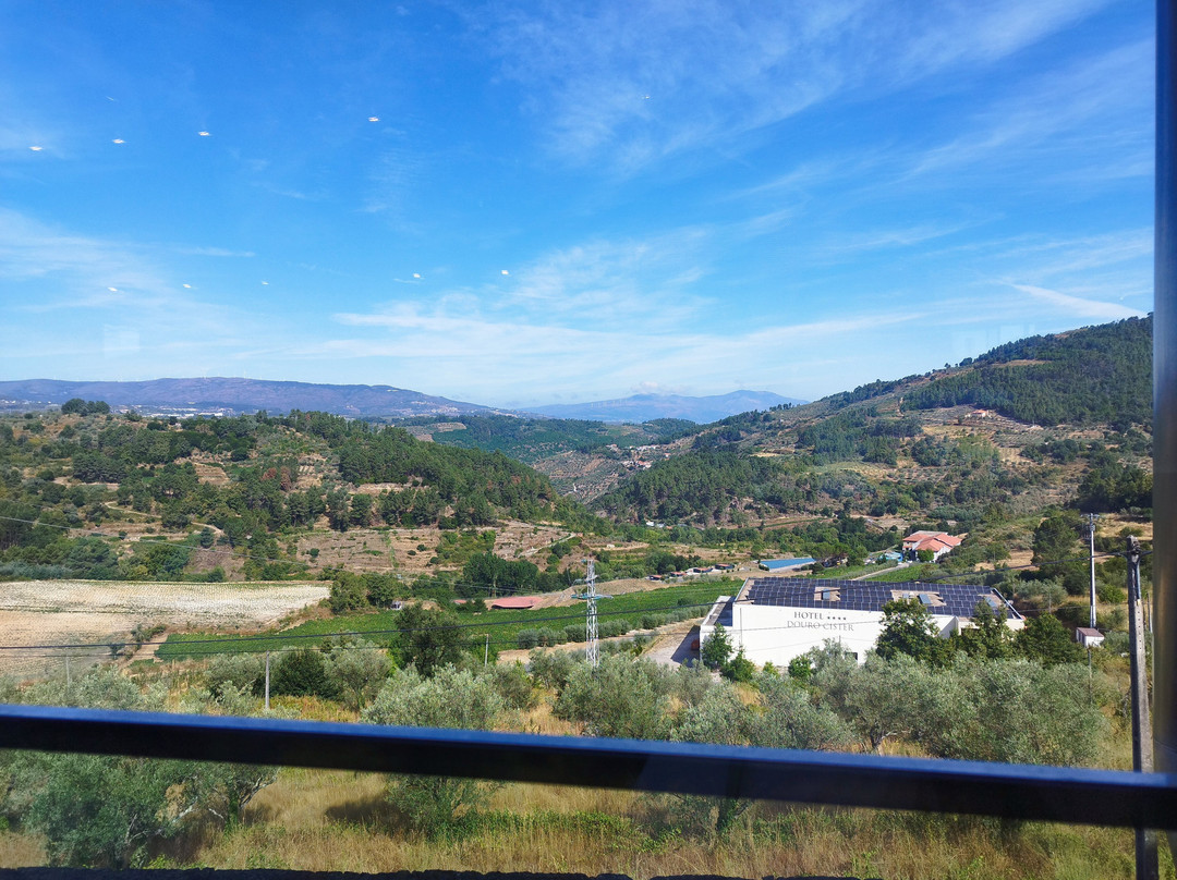 Caves da Murganheira-Tarouca必去景点