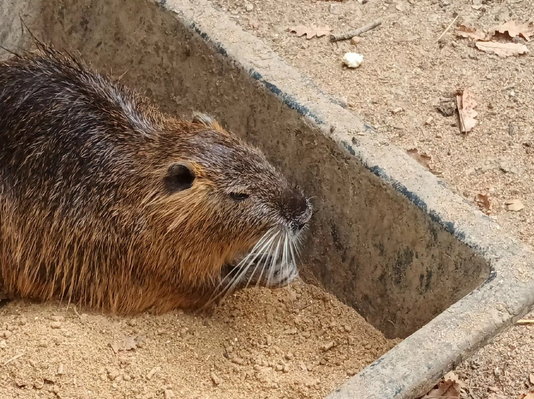 Z'animoland-Monbalen必去景点