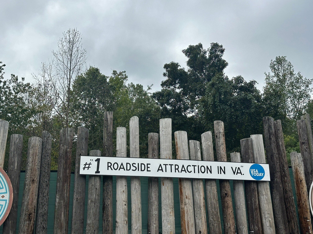 Dinosaur Kingdom II-天然桥必去景点